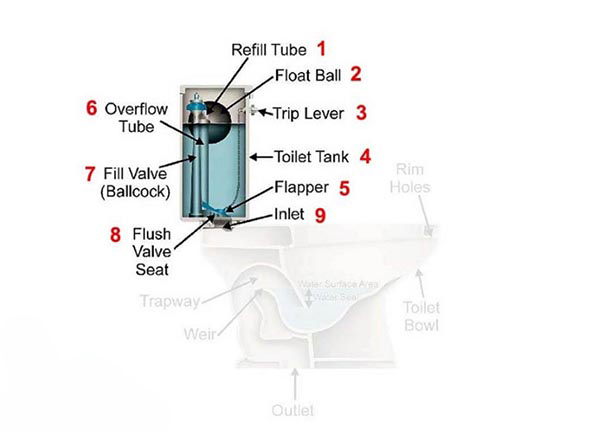 Mô phỏng cấu tạo két nước bồn cầu - Ảnh: kidoasa